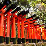 京都記念2017の予想を公開！