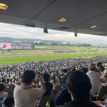 5月3週のレース回顧〜全てが惜しかった週末、ただ惜しいではダメなのです〜