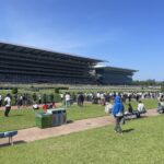 6月3週のレース回顧〜これにて東京阪神開催は終了！！いよいよ夏競馬の本番へ〜