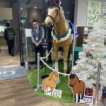 11月5週のレース回顧〜芝中長距離の世界一決定戦にふさわしいレースでした〜