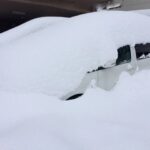 大雪ハンデキャップ2026の予想を公開！